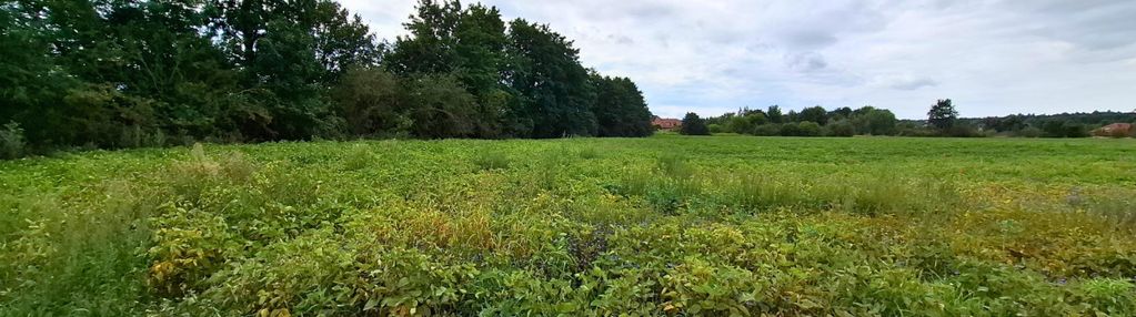 Działki żołędowo – 1161 m² i 1470 m²