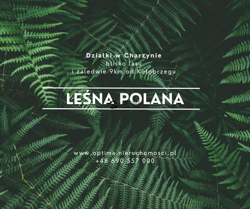 Działka z widokiem na las, obok vilpark