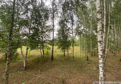 Działka budowlana w gołąbku 1514m²!!!