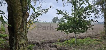 Idealne miejsce na twój dom