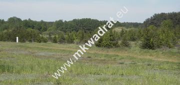 Działka w sąsiedztwie lasu