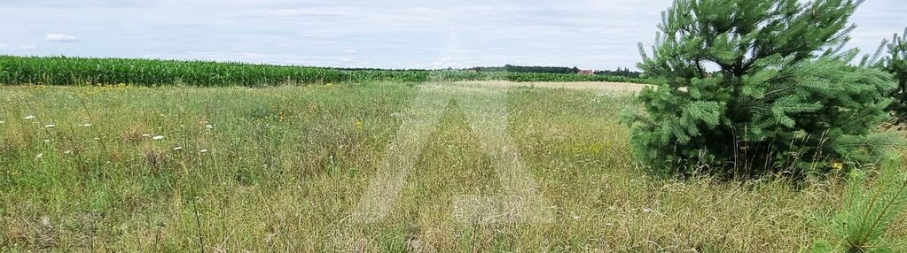 Stronno działki budowlane - prąd