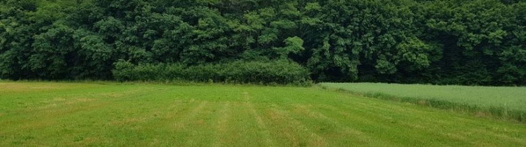 Piękna działka w gm. niepołomice bud-rol, 49 ar