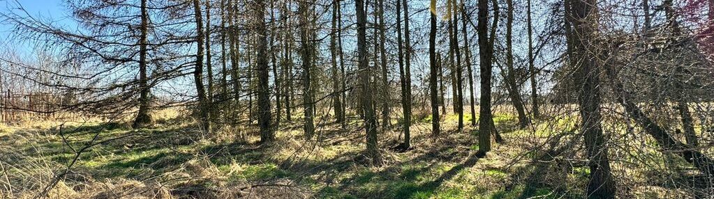 Działka budowlana 5436 m² łuków śląski