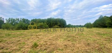 Działka boruja nowa 9,27 ha