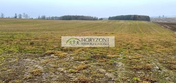 Działka borcz gm. somonino 2 ha