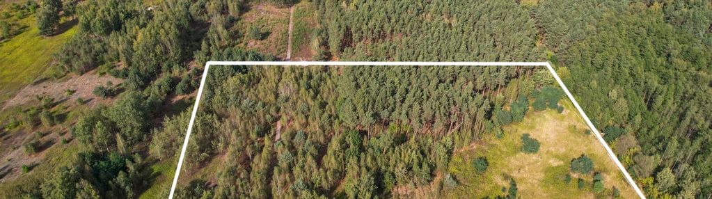 Działka z mpzp częściowo zalesiona!