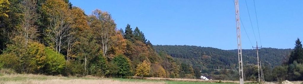 Śnietnica, gm. uście gorlickie - działka budowlana