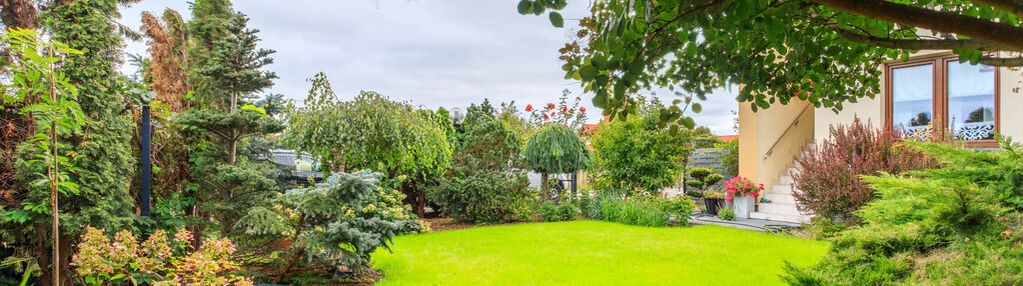 3 pokoje z tarasem i ogródek 180 m, piętro w domu