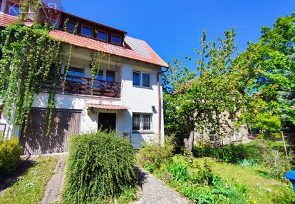 Zalesie ciche i zielone miejsce do życia