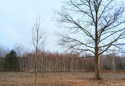 Zielona okolica-działka budowlana