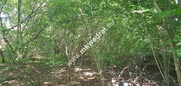 Działka budowlana 1 305 m², asfaltowy wjazd, prąd