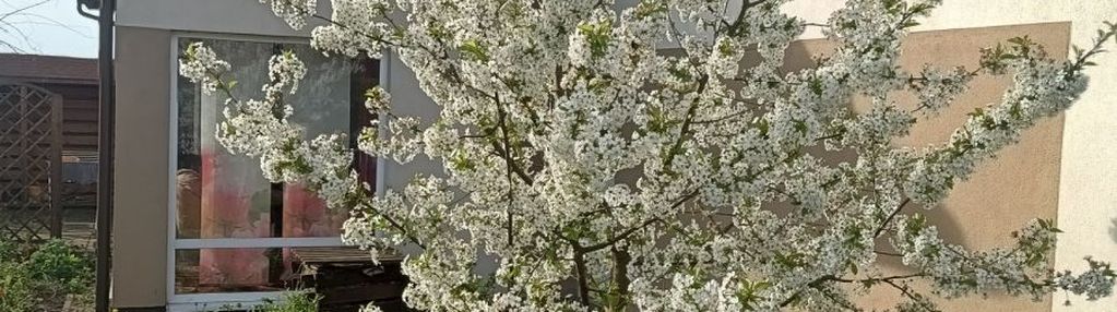 Dom z  garażem, kominkiem, słoneczne tarasy pępowo