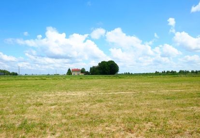 Kampinos: blisko do kpn, ładna, media