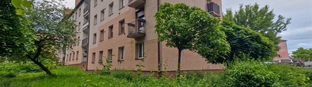 Do wynajęcia 2 pokojowe mieszkanie ul. leśna