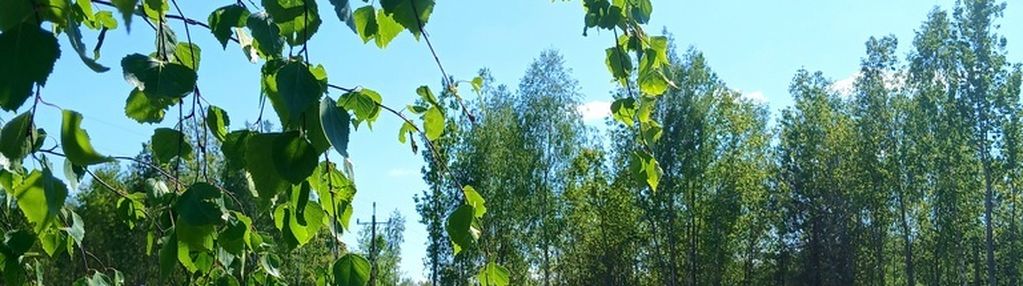 Działki inwestycyjne wśród zieleni
