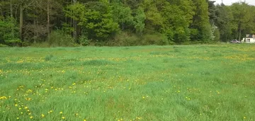 Działka na sprzedaż 800m2