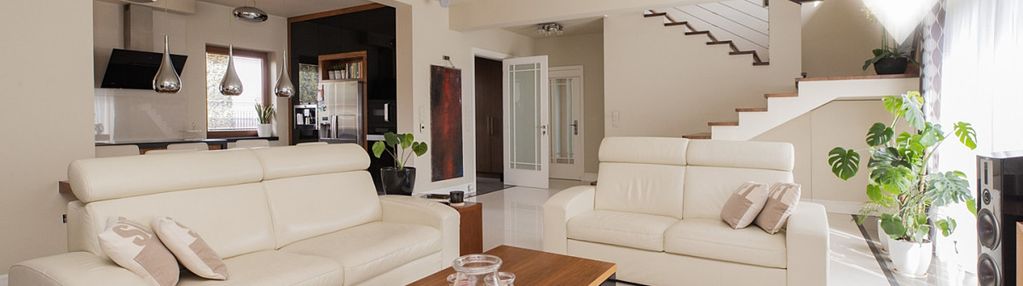 Unikalny nowoczesny dom blisko natury