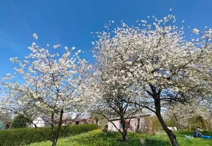 Działka na sprzedaż 400m2