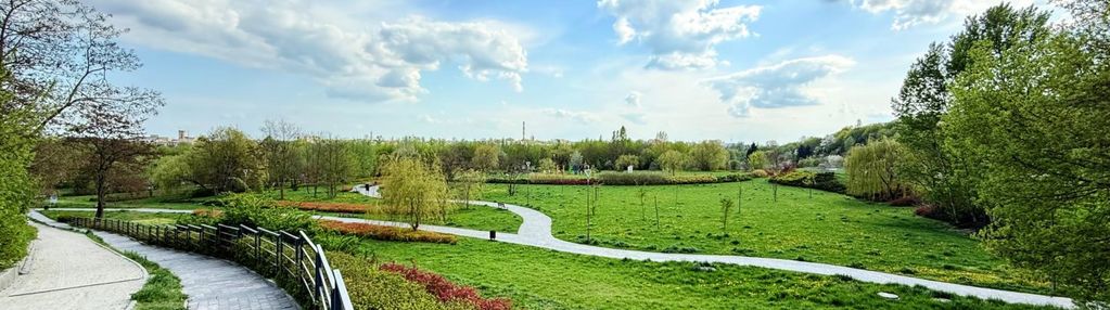 Idealne z widokiem ! okazja z własnym parkiem !