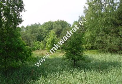 Piękna nieruchomość z możliwością podziału działu