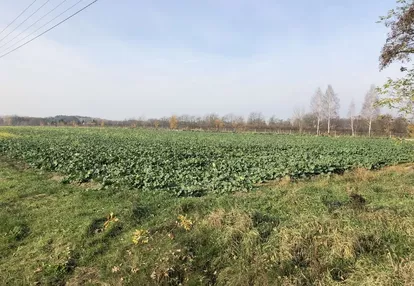 Działka na sprzedaż 1m2