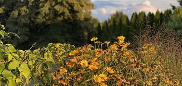 Działka budowlana na sprzedaż w opolu - żerkowice