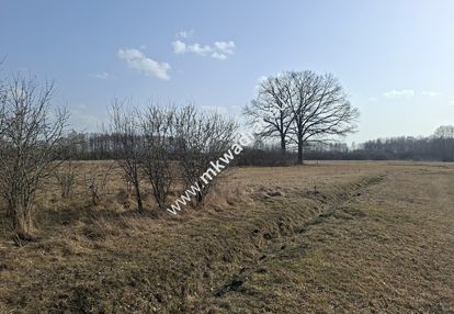 Działka z mediami niedaleko szkoły w międzyborowie