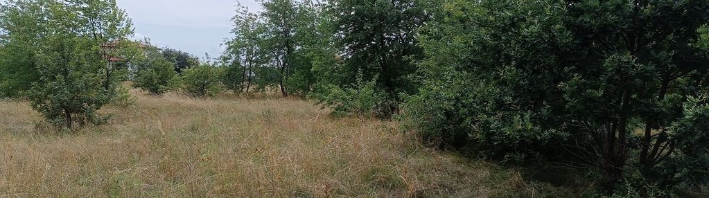 Piękna działka falenica bliżej wału m.
