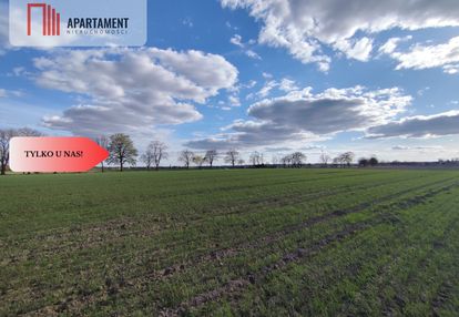 Działki blisko natury! wiśniewa koło sępólna!