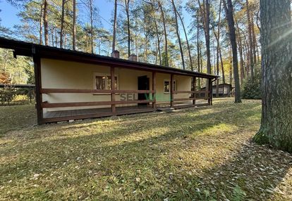 Rezerwacja domek w malowniczej sokolniki - las