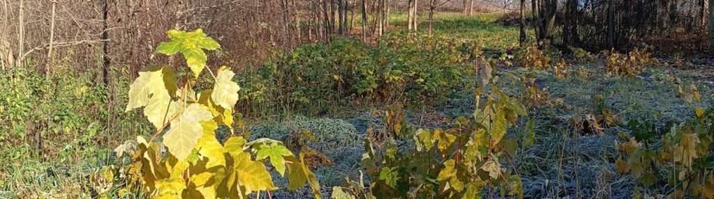 0 % prowizji ! gotowe !  tylko teraz  mega rabaty