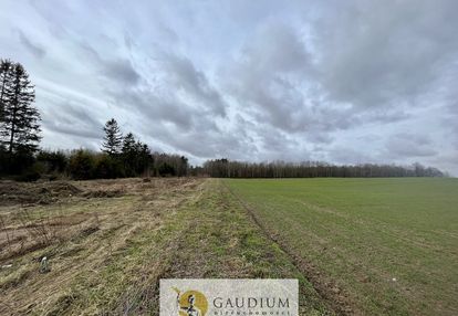 Działka przy lesie więckowy i skarszewy