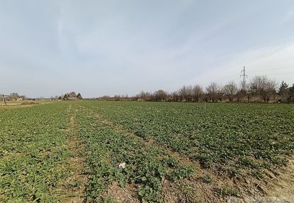 Działka na sprzedaż stok lacki folwark