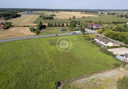 Pod biznes w samym centrum gniewkowa