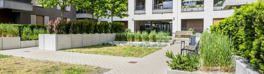 Centrum, 3 pokoje gąsiorowskich, 55 m2