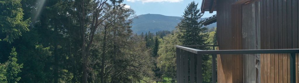 Przestronny, wysoki apartament, piękna lokalizacja