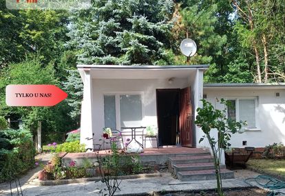 Działka z domkiem borówno kw jezioro , las.