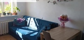 Trzy pokoje, możliwość adaptacji strychu