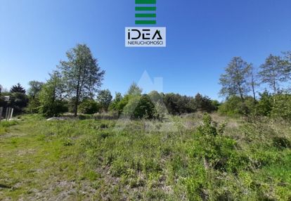 Działka blisko lasu i rzeki bydgoszcz