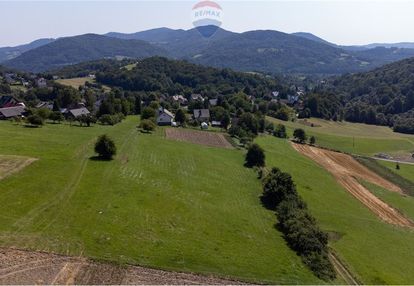 Grunty 5 400 m² – widok, las i działka z wz