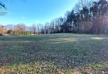 9700m2 - działka marzeń, z lasem i strumykiem!