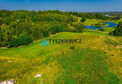 Duża działka w starej hucie