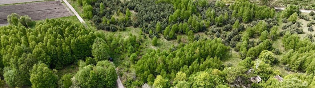 Zielona działka z możliwościami – wola chojnata