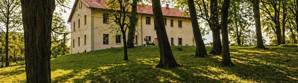 Pałac z parkiem 0,95 ha pod inwestycję w milicach