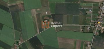 Działki w kurczowie