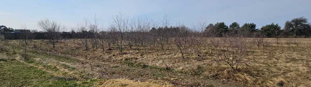 Działka 1500m² stare załubice | mpzp i usługi