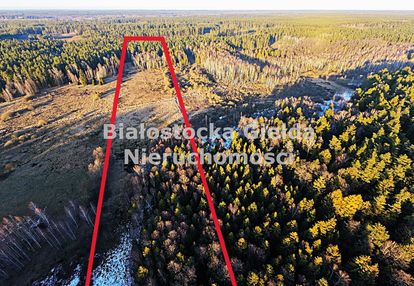 Działka rolno - leśna pow. 1,72ha