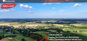Duża działka pod rezydencję blisko lasu! łapino!