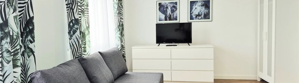 Przytulne mieszkanie|wierzbowa|od zaraz
